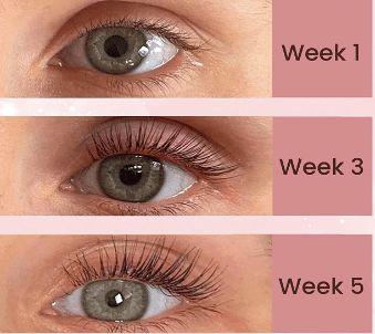 Lash Growth Serum
